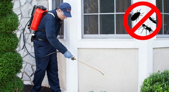 Balıklıova Böcek ve Haşere İlaçlama böcek ilaçlama ve haşere kontrolü — ilaclama-tr.com
